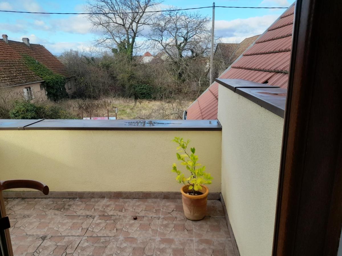 Appart 4 Pers Refait Neuf 90M2 Avec Balcon Baldenheim Екстер'єр фото