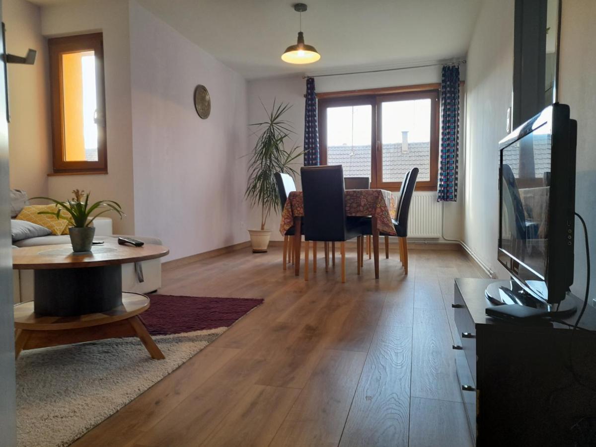Appart 4 Pers Refait Neuf 90M2 Avec Balcon Baldenheim Екстер'єр фото